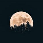 NASA scientists confirm presence of water on sunlit surface of moon